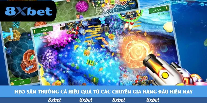Mẹo săn thưởng cá hiệu quả từ các chuyên gia hàng đầu hiện nay
